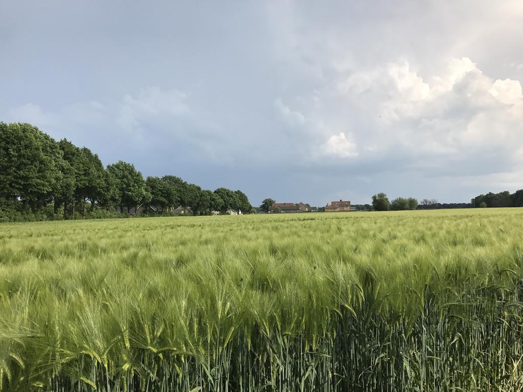 Appartementen De Zegelskoel Heijenrath ภายนอก รูปภาพ